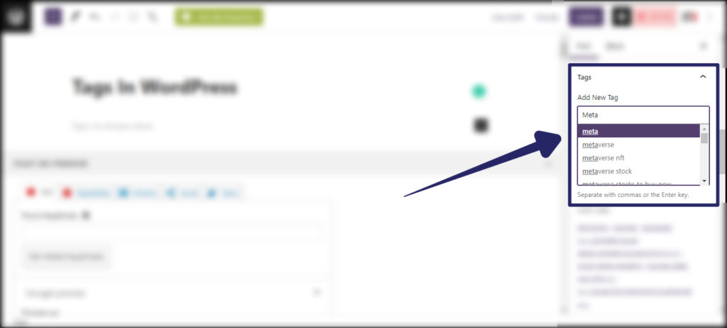 How To Add Tags In WordPress Post