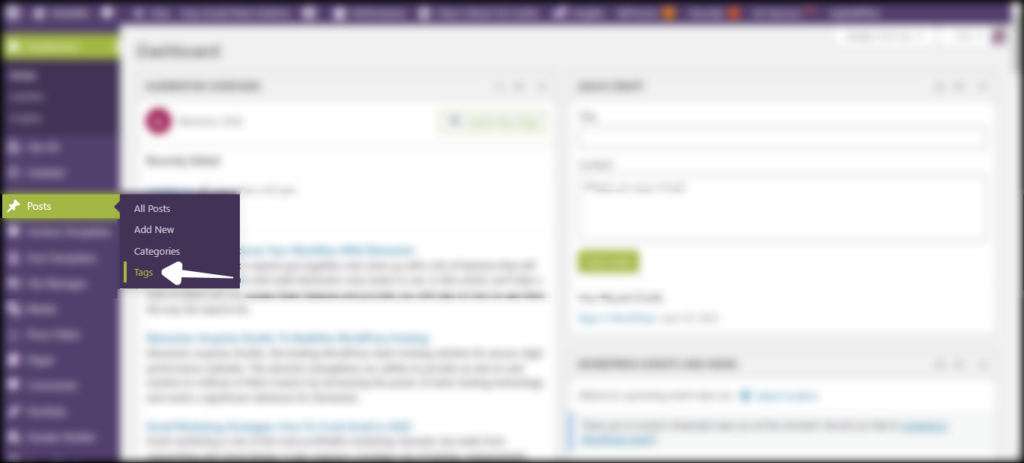 How To Add Tags In WordPress Post [METHOD 2]