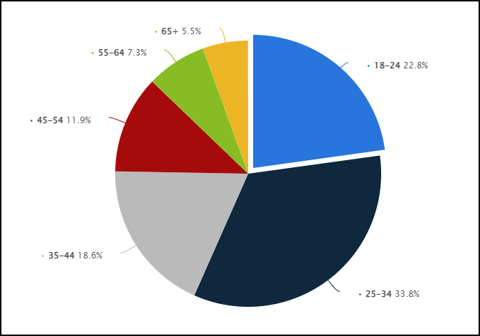 Pie CHART OF AGE GROUP 