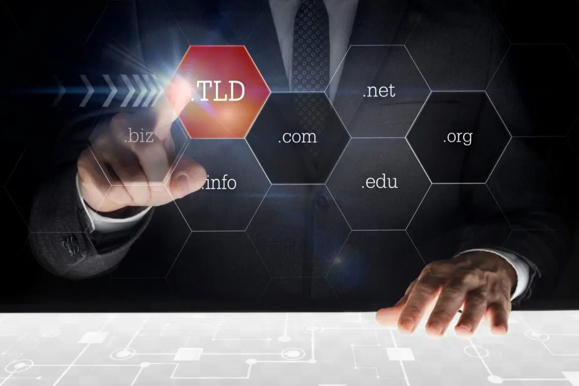 What is a TLD